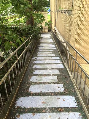 平面化29