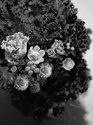 蔬情花意