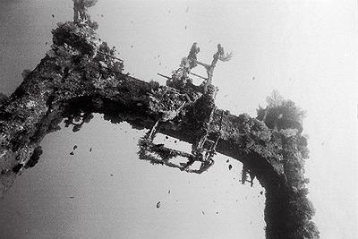 Lanyu of Seeing-38's Cover