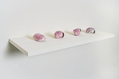 2024_05_Allergy_ring_enamel_exhibition