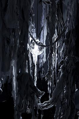 〈滲透〉，2019，作品局部。-1