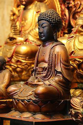 圖(14) 釋迦牟尼佛