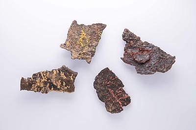 2025_11_Scab_brooch_bark_all