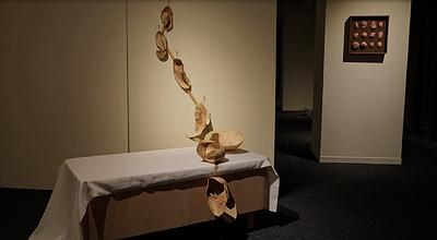 2025_Wearing_the _Skin_exhibtion_venue_room2-1