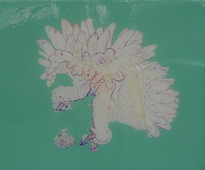 微觀之下的變異幻象–28