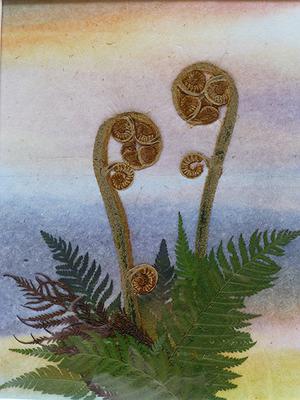 1 蕨芽的封面圖