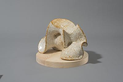 邊界與重複—陳邦彦創作論述 生長系列-2