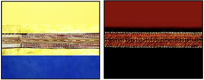 〈當排灣遇上布農〉的封面圖