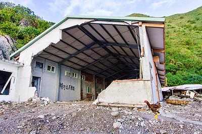 Lanyu of Seeing-43's Cover