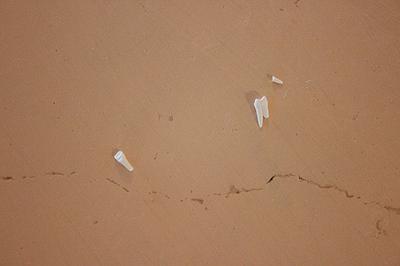 Memory Text/Perceptual Situation/Syun Kuan - 41's Cover