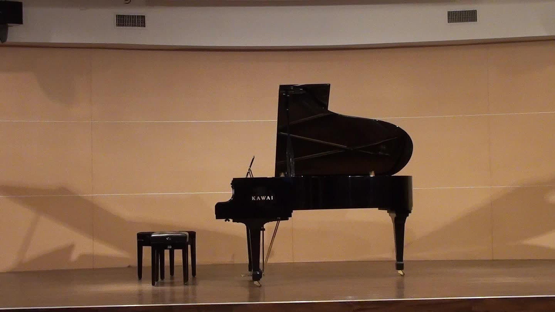 Chen, Yu Ming Violin Recital Program Introduction,Analysis and Interpretation's Cover