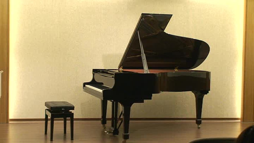 李斯特《帕格尼尼第六號練習曲》與布梭尼《D小調夏康舞曲》之探討的封面圖