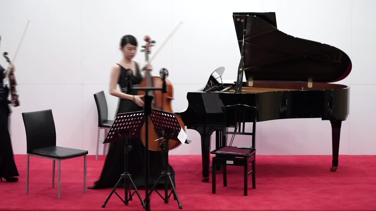 杜岳臻大提琴演奏會：含輔助資料演奏會錄音、樂曲解說及室內樂演奏會錄音-4