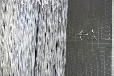 生命意象-入口線性局部