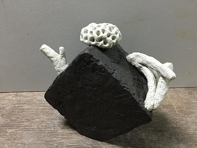 珊瑚礁壺 (11)