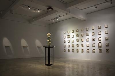 多線創作的首拍：陳昱廷創作研究 30 陳昱廷，〈決定出生〉，白菊花、劍山、不銹鋼水盤、透明片，整體大小60x60x96公分(不含白菊花)，2021年4月。7