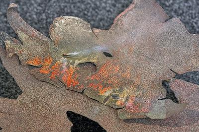 2025_16_Bark_Setting_aluminium_close1