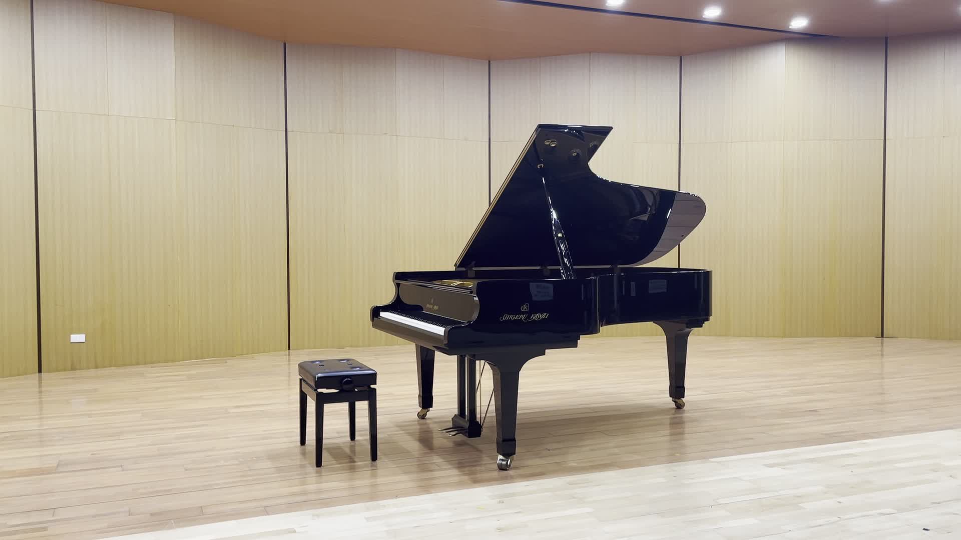 王品雯鋼琴獨奏會-下半場