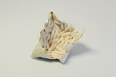 潛存的膨脹語彙—葉方瑾當代首飾創作論述-41