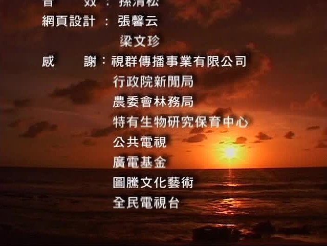 台灣陸蟹傳奇-3