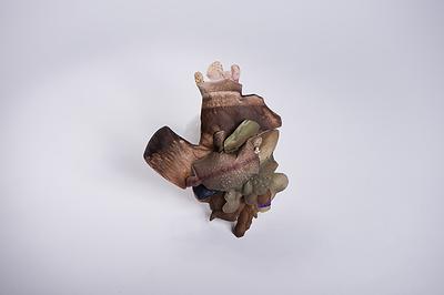 潛存的膨脹語彙—葉方瑾當代首飾創作論述-7