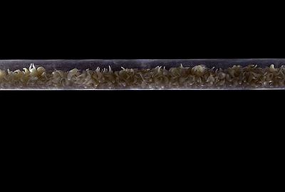 Perception and Inception of Body - The Creation Research of Liu, Hsin -Yi's Cover