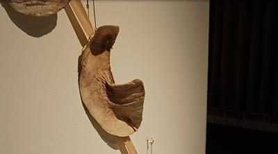 2025_Wearing_the _Skin_exhibtion_venue_room2-2