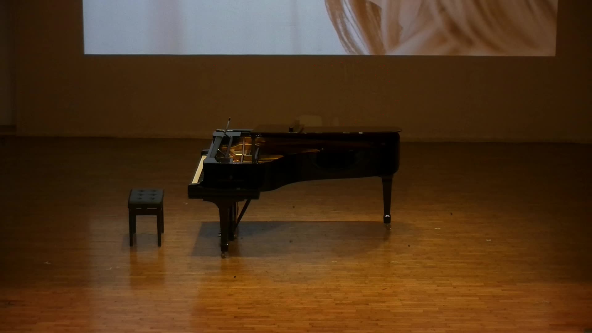 澤姆林斯基《華爾茲歌曲，作品第六號》 之分析與詮釋