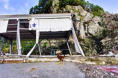 Lanyu of Seeing-43's Cover