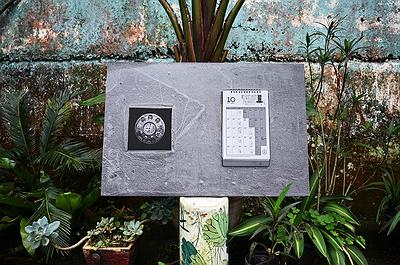 圖片 16