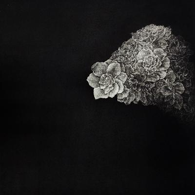 墨蘊花喻—8〈語—Gardenia 之二〉的封面圖