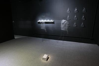 圖10-1.不夠歇斯底里的檔案化－作品殼膜的封面圖