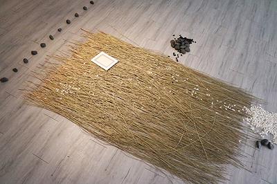 Perception and Inception of Body - The Creation Research of Liu, Hsin -Yi's Cover