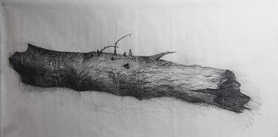 樹的意象與蛻變─胡淨惠創作論述-圖30