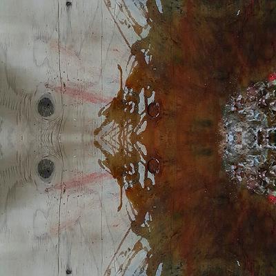 圖載場—白虛與夜實的生物世界-8