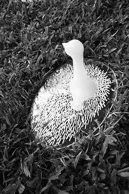 《黃色小鳥─看不見》的封面圖