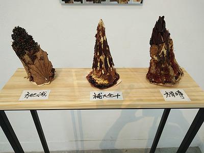 中藥系列作品8