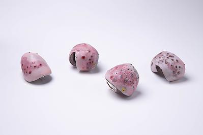 2024_05_Allergy_ring_enamel_all