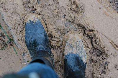 《旅程》：No.4503_台灣新北