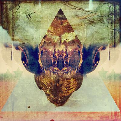 圖載場—白虛與夜實的生物世界-10