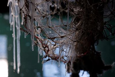 〈迷網之境〉，2018，漁網、繩子、樹酯、Antari ICE-101、ARRI燈，作品局部，身軀流動的語彙。的封面圖