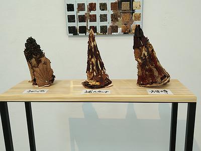 中藥系列作品11