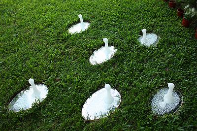 《黃色小鳥─看不見》的封面圖