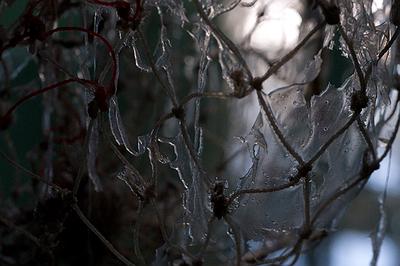 〈迷網之境〉，2018，漁網、繩子、樹酯、Antari ICE-101、ARRI燈，作品局部-5