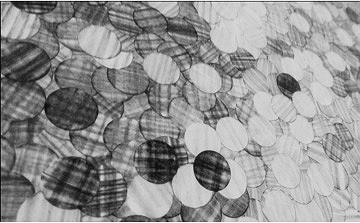 筆者創作驗（局部）的封面圖