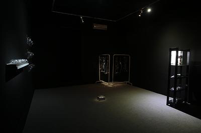 附錄一-三-p.50-4不夠歇斯底里的檔案化-展場照片