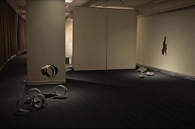2025_Wearing_the _Skin_exhibtion_venue_room3-1