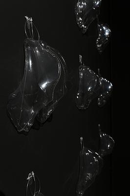 圖10-4.不夠歇斯底里的檔案化－作品殼膜的封面圖
