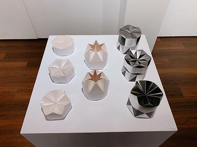 植物果實結構應用於包裝創作研究2的封面圖