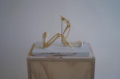 臨時場景-16的封面圖